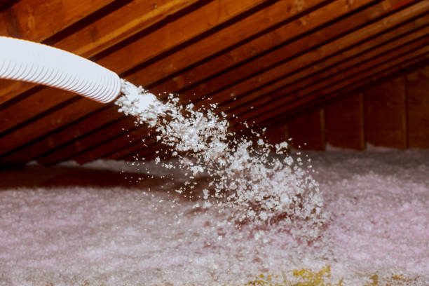 Best Spray Foam Insulation in Lake City, AR