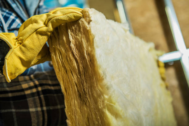 Best Blown-in Insulation in Lake City, AR