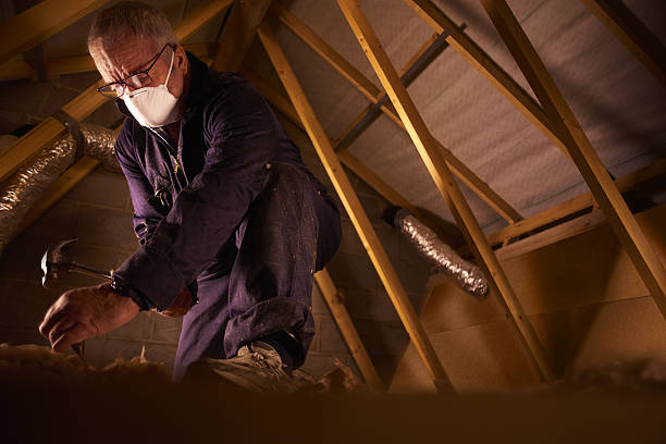 Trusted Lake City, AR Insulation Contractor Experts