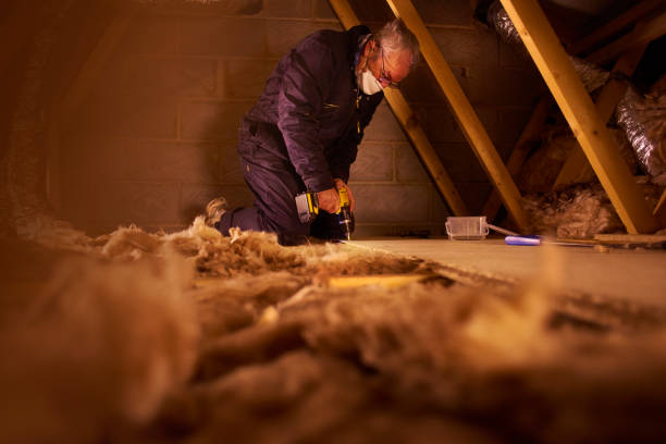 Best Residential Insulation in Lake City, AR